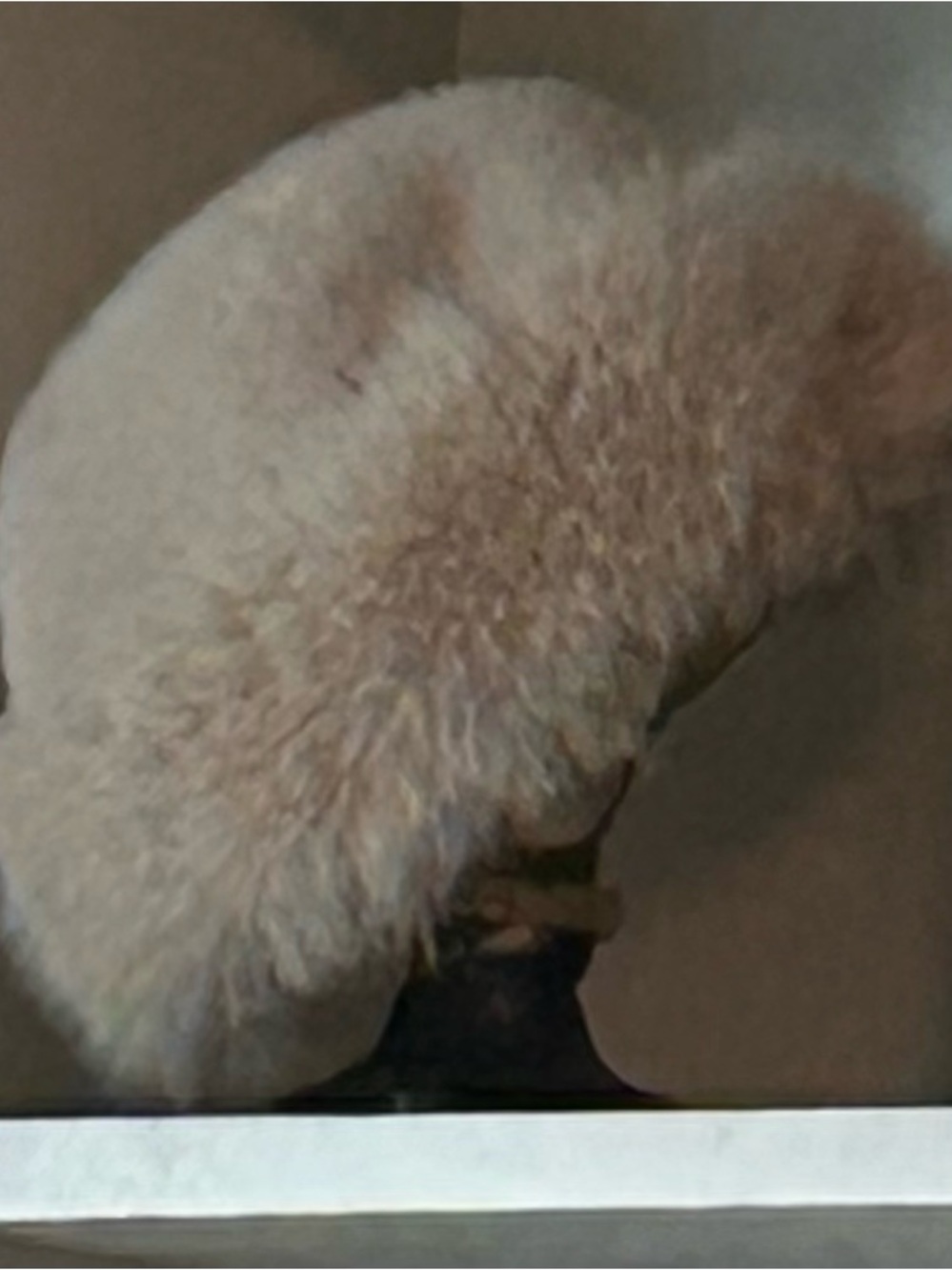 Faux Fur Cossack Hat in Cream